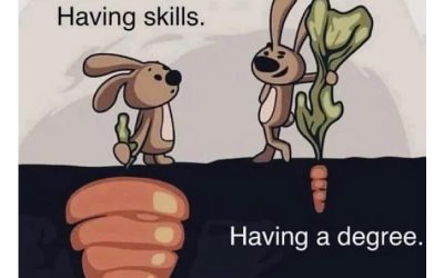 Is having skills better than having a degree?