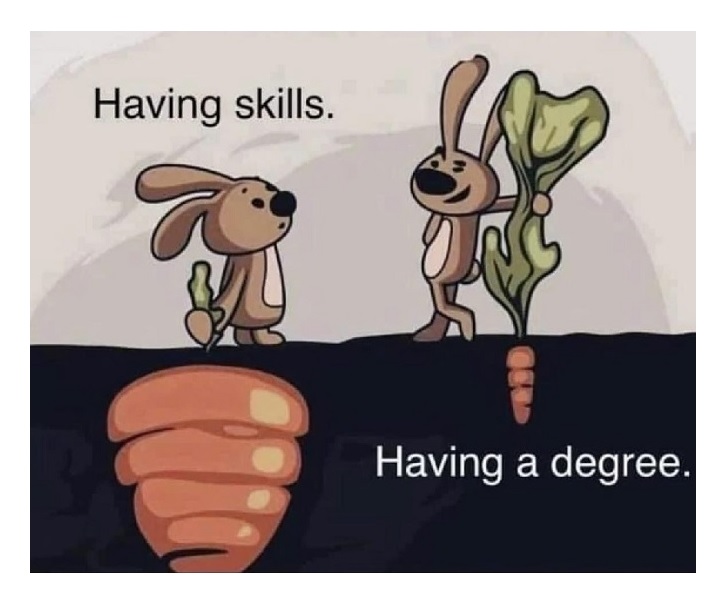 Is having skills better than having a degree?